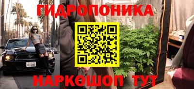 мяу мяу мука Краснознаменск