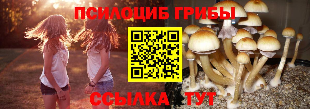 Изобильный  Псилоцибиновые грибы Magic Shrooms  Вход с VPN 